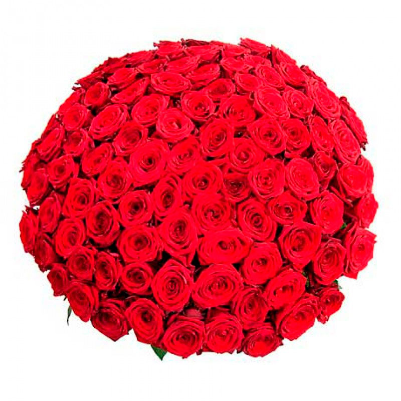 Букет из 101 розы «А если это любовь?»