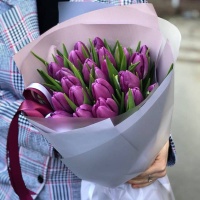 Весенние цветы тюльпаны: символика и значение