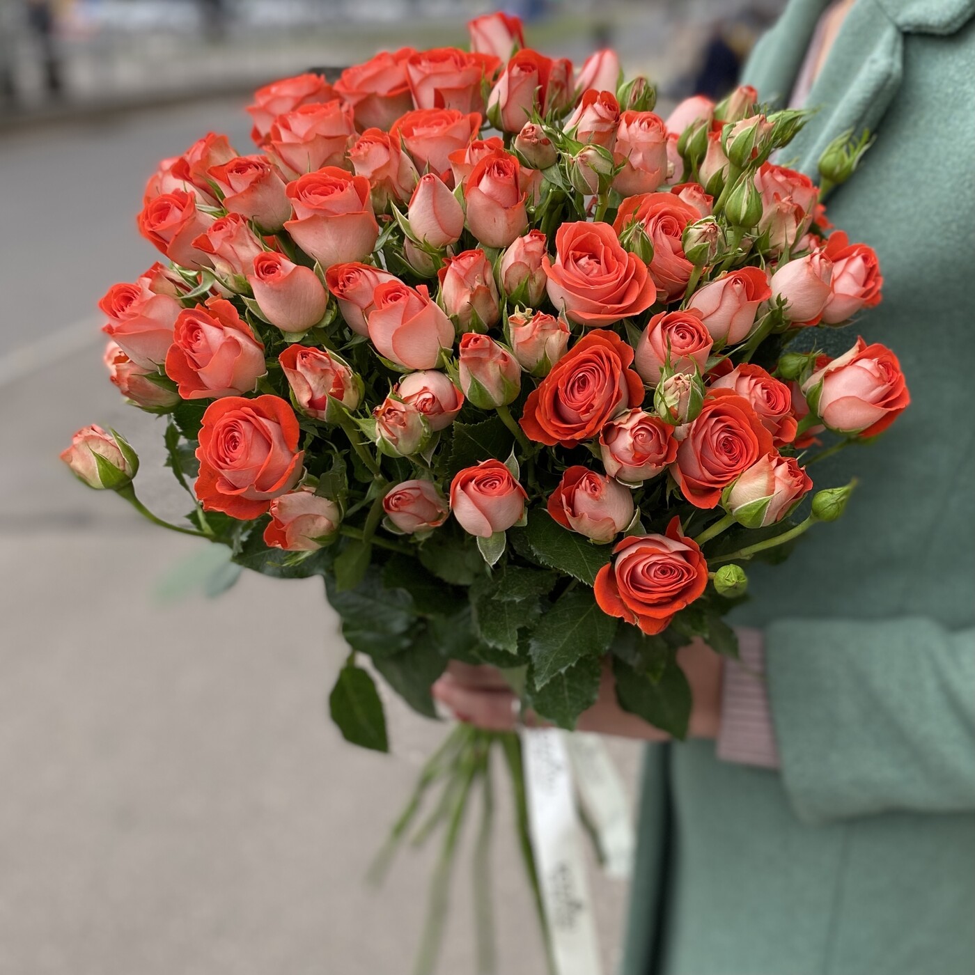 Картинка Роза кустовая Задик