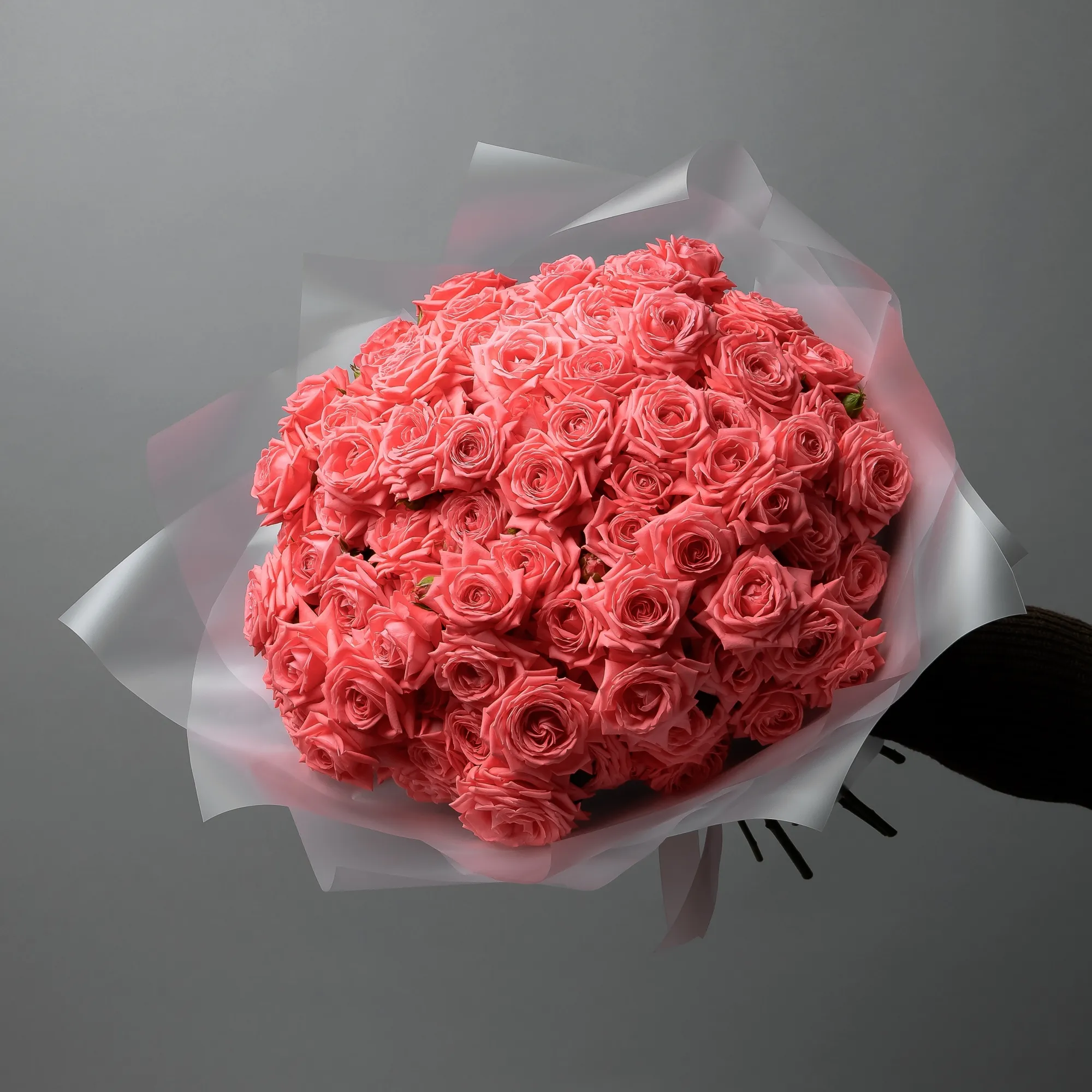 Картинка Роза кустовая Барбадос Кения