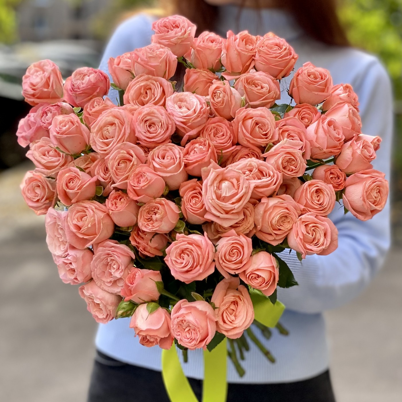 Картинка Роза кустовая Эмейзинг Меджик Кения