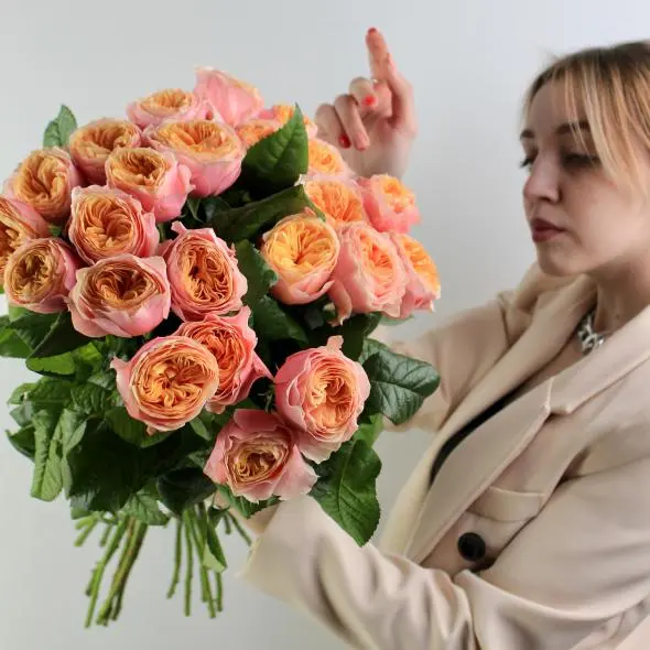 Картинка Роза Вувузела