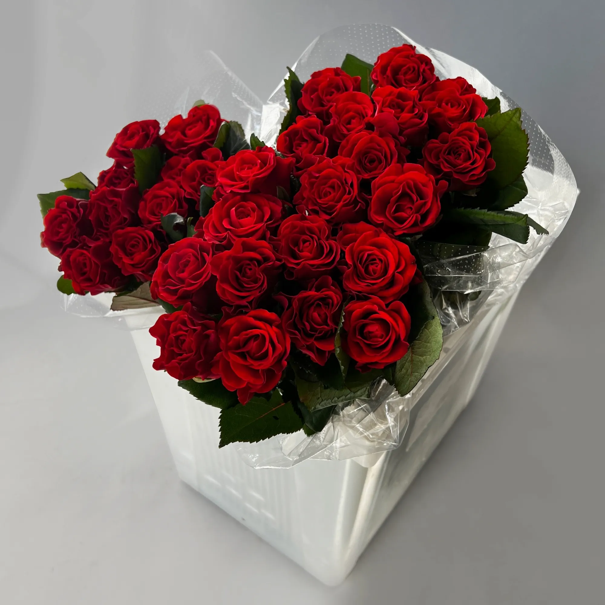 Картинка Роза Эль торо