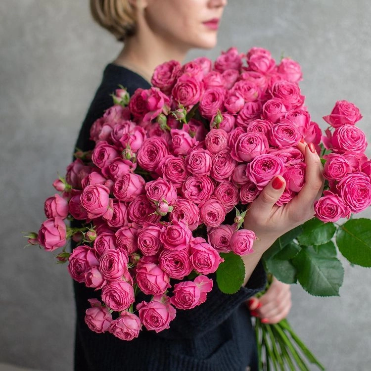 Картинка Роза кустовая Жизель Кения