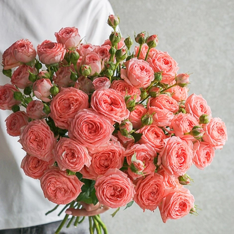 Картинка Роза кустовая Фемке Кения