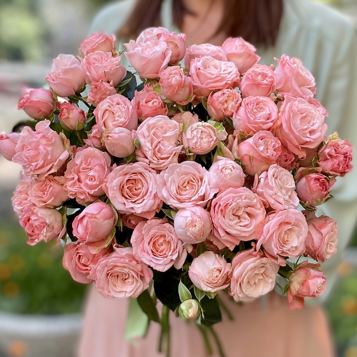 Картинка Роза кустовая Мадам Бомбастик Кения