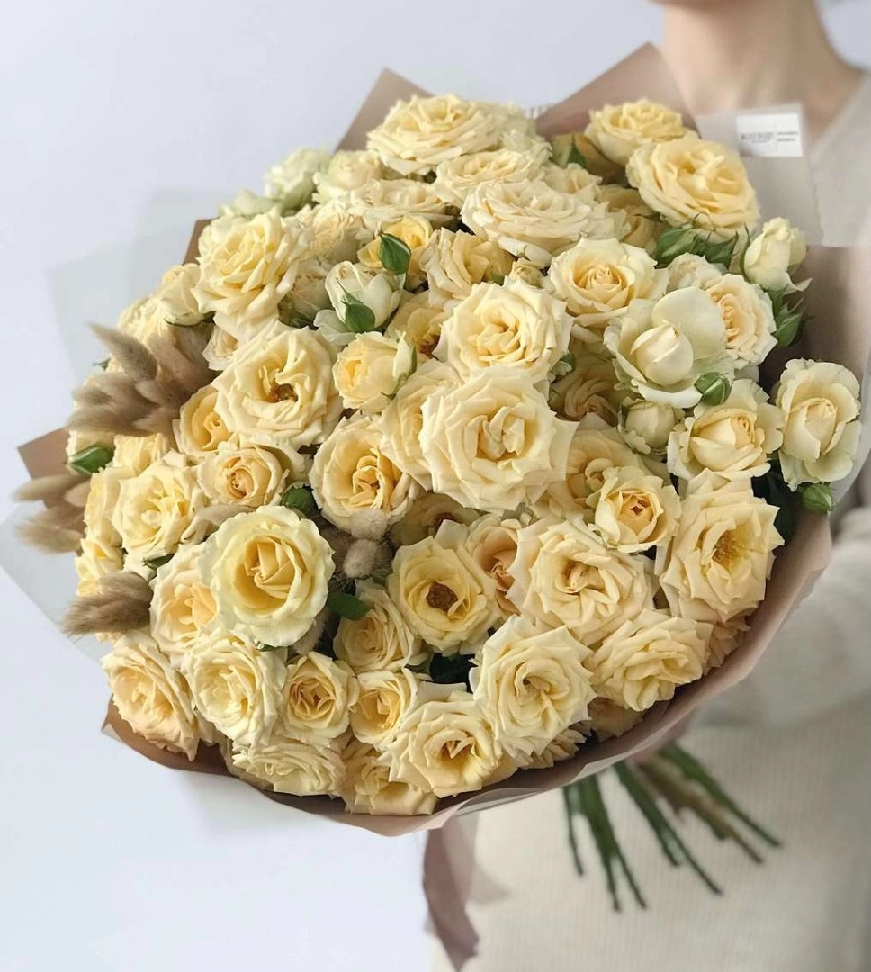 Картинка Роза кустовая Салинеро Кения