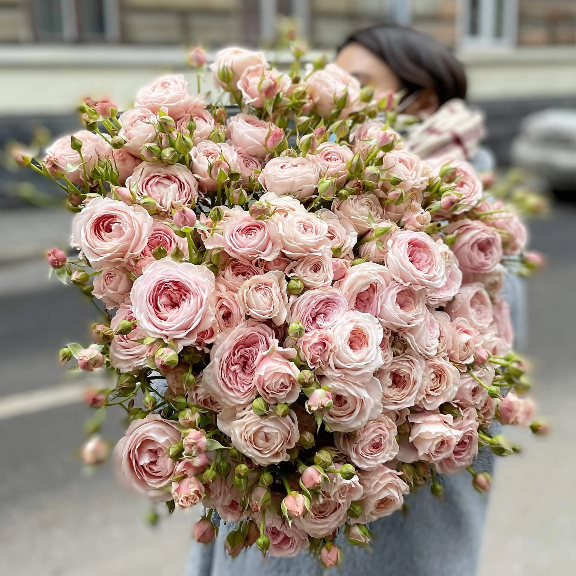 Картинка Роза кустовая Фатал Аттракцион Кения