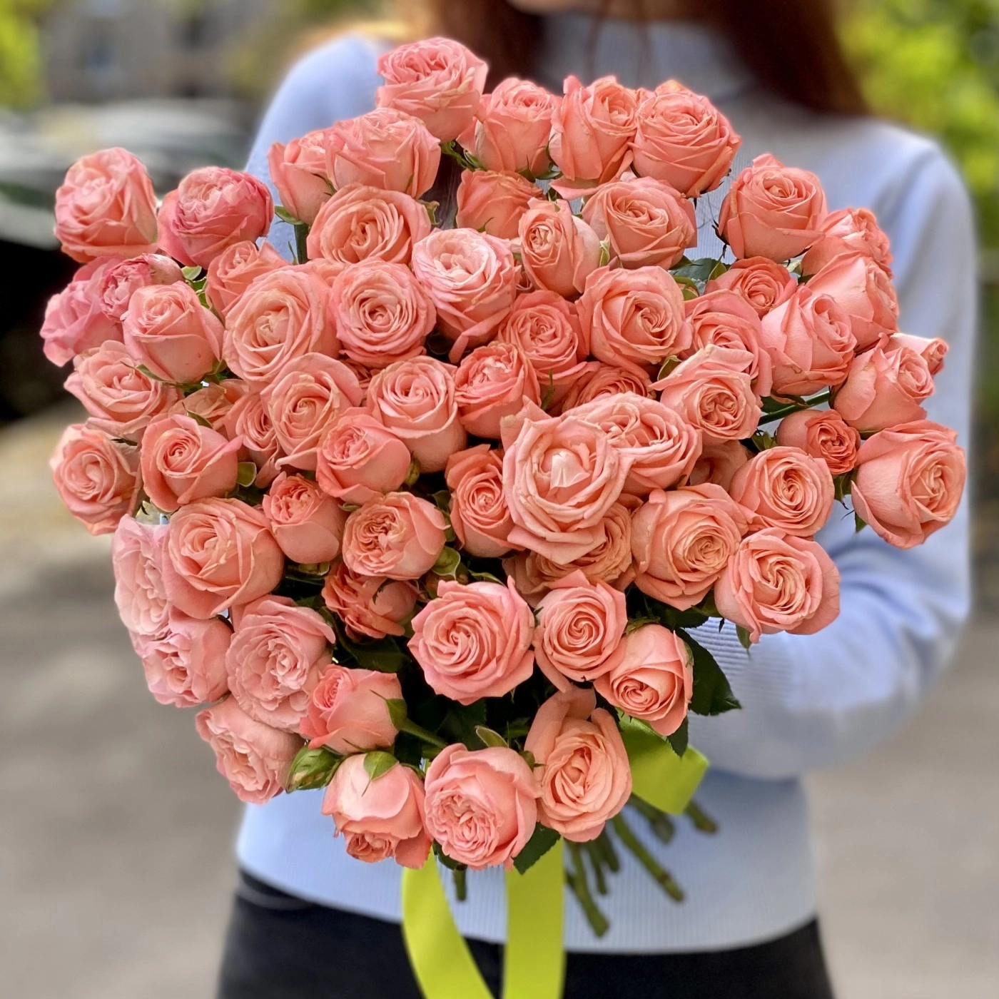 Картинка Роза кустовая Эмейзинг Меджик Кения