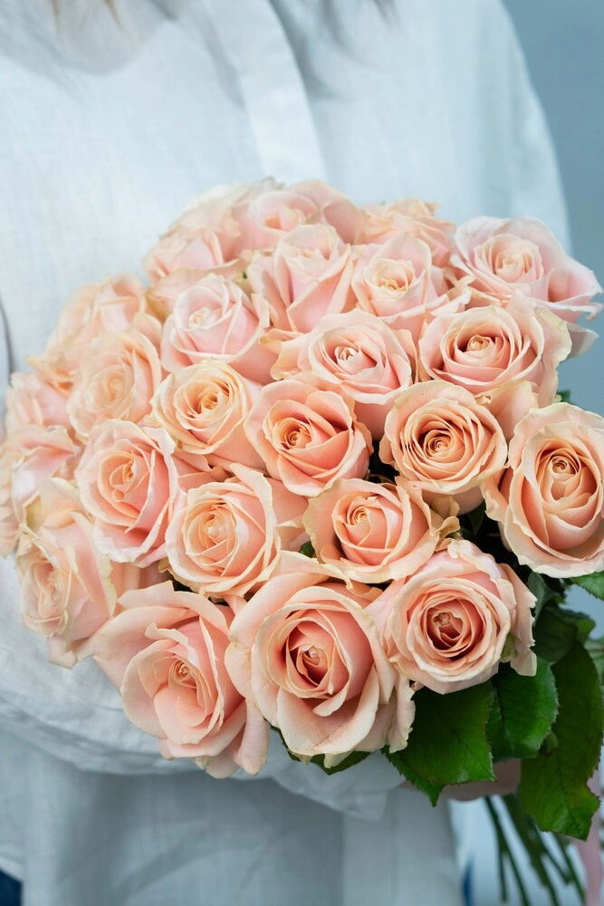 Картинка Роза Перл Аваланж