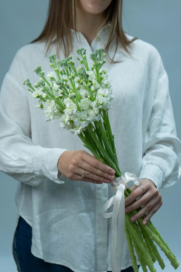 Картинка Букет  из 11 маттиол Картинка Букет  из 11 маттиол