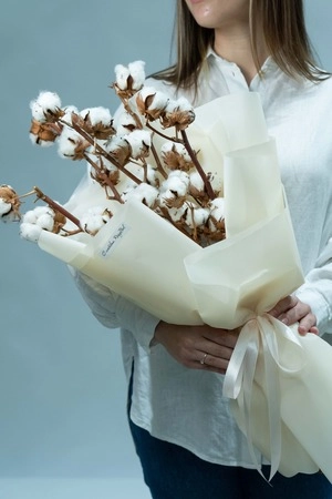 Картинка Букет из 5 веток хлопка Картинка Букет из 5 веток хлопка