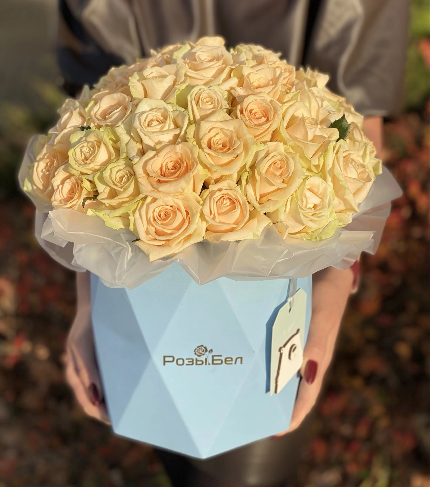 Картинка Коробка "Крем"