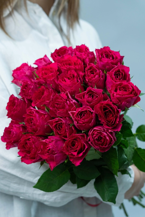 Картинка Букет из 25 малиновых роз Кения 40 см Картинка Букет из 25 малиновых роз Кения 40 см