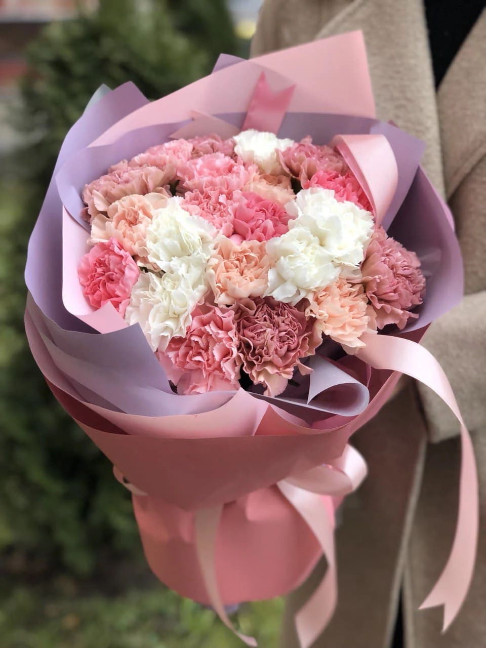 Картинка Букет из 31 гвоздики "Гармония" Картинка Букет из 31 гвоздики "Гармония"