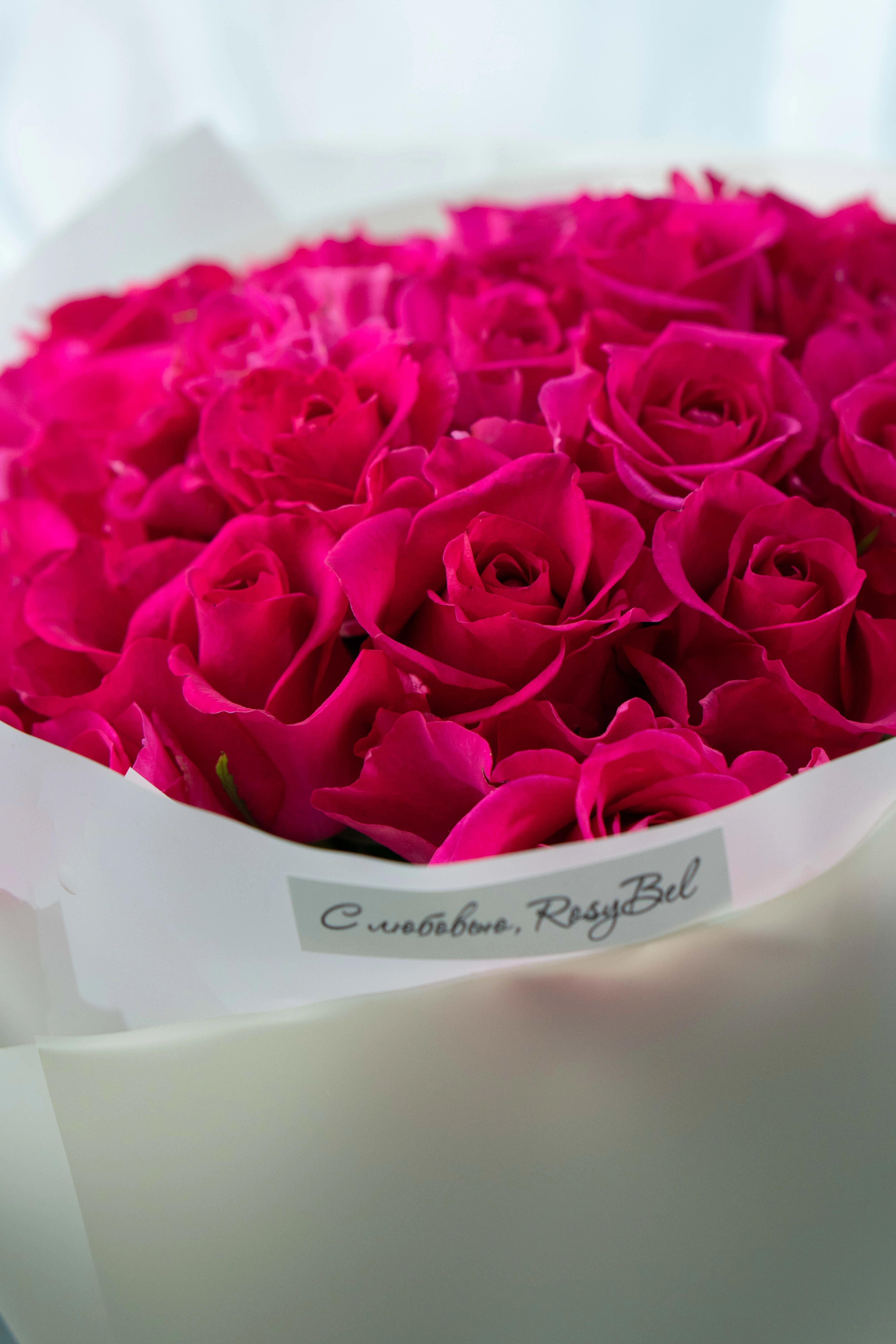 Картинка Букет из 25 роз сорта Лейла 40 см Картинка Букет из 25 роз сорта Лейла 40 см