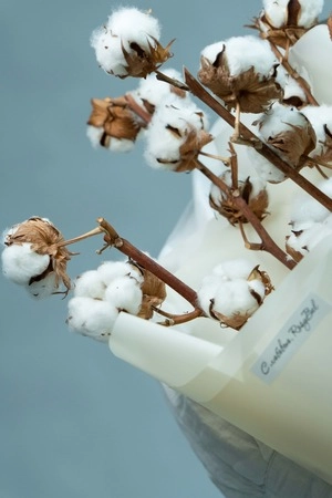 Картинка Букет из 5 веток хлопка Картинка Букет из 5 веток хлопка