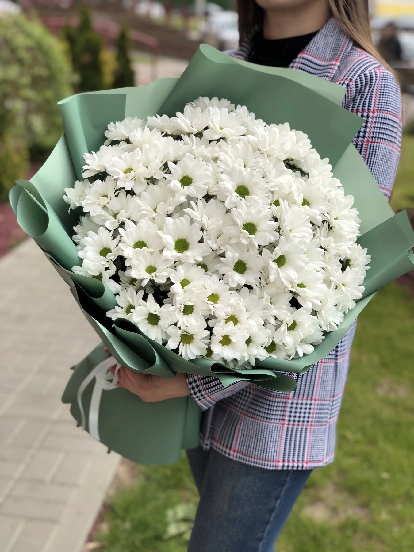 Картинка Букет "Амур" из 15 хризантем сорта Бакарди Картинка Букет "Амур" из 15 хризантем сорта Бакарди