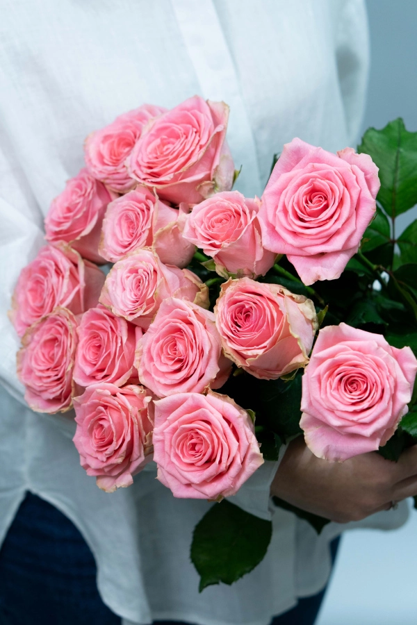 Картинка Букет из 15 роз Софи Лорен 40 см Картинка Букет из 15 роз Софи Лорен 40 см