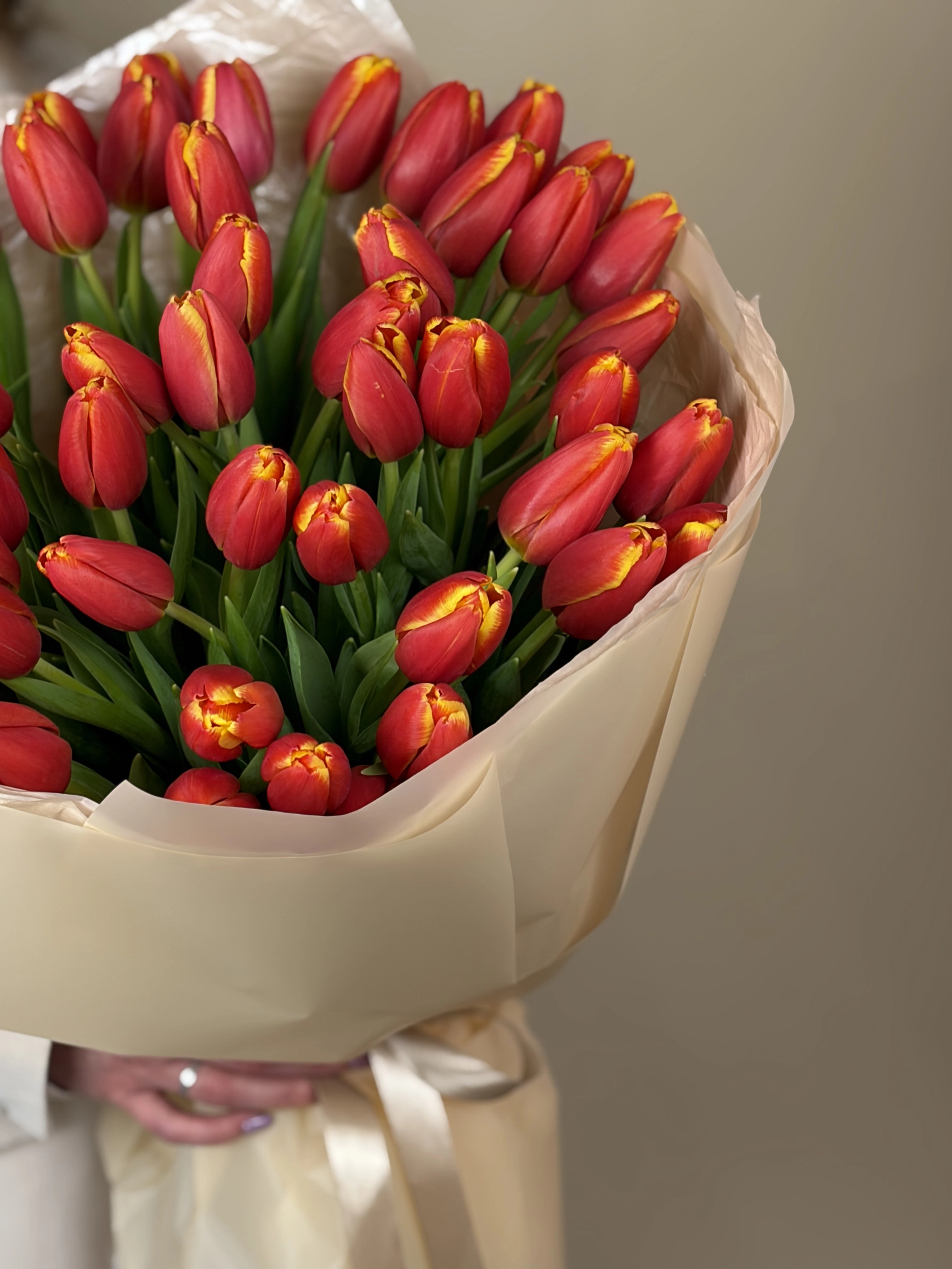 Картинка Букет из 51 тюльпана «Тропический Закат»