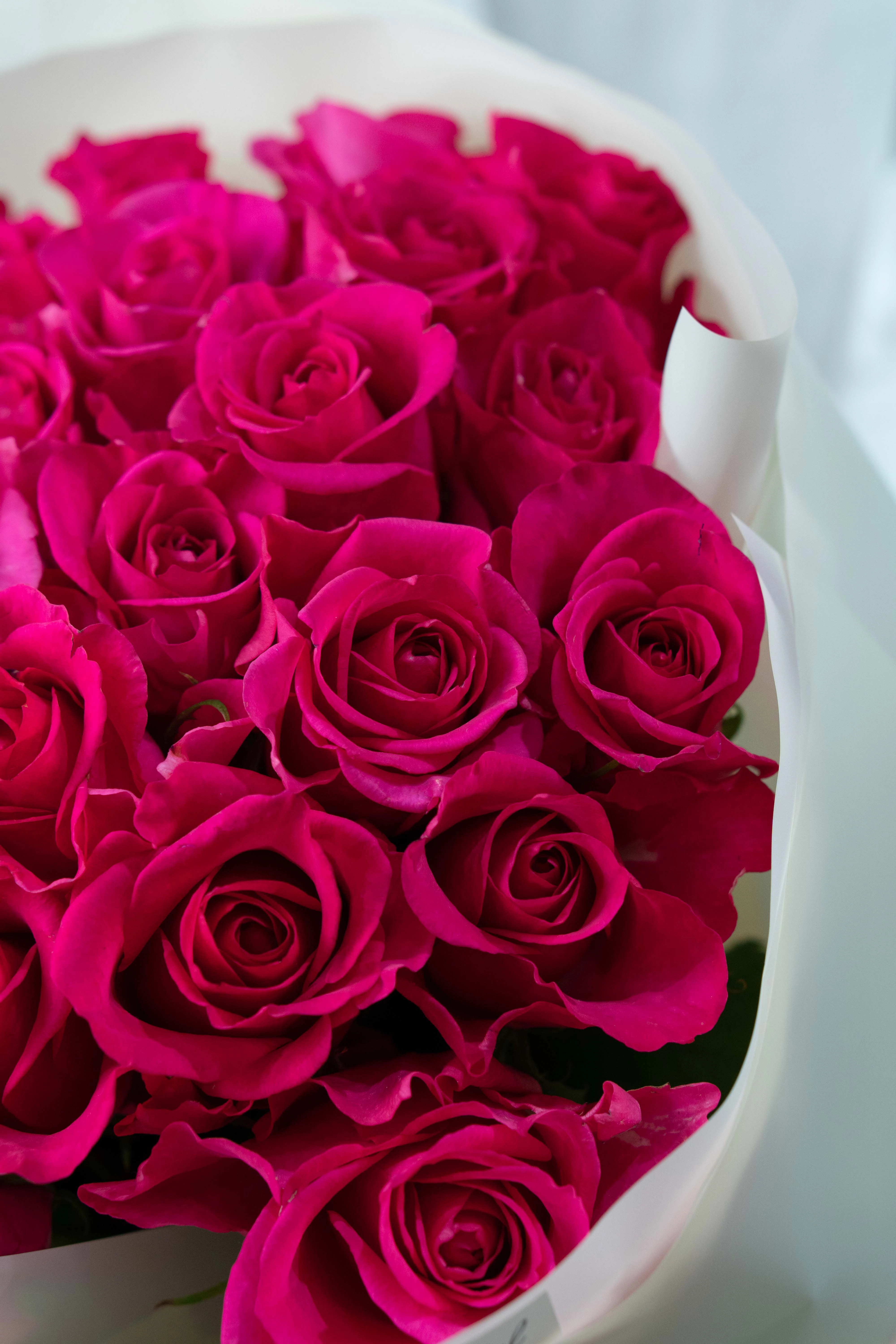 Картинка Букет из 25 роз сорта Лейла 40 см Картинка Букет из 25 роз сорта Лейла 40 см