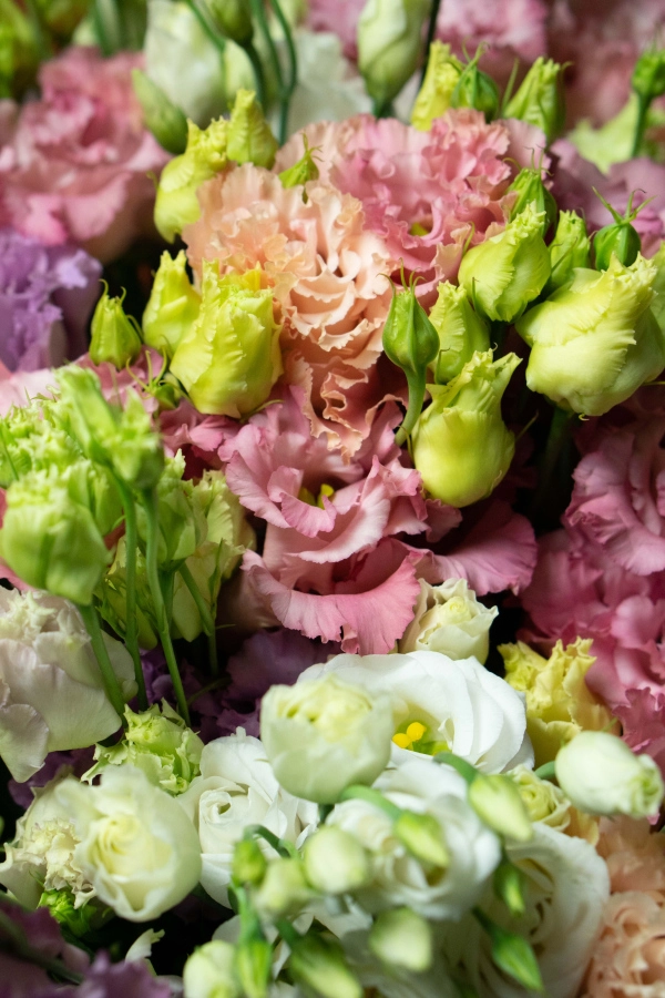 Картинка Букет из 15 эустом "Конфетти"