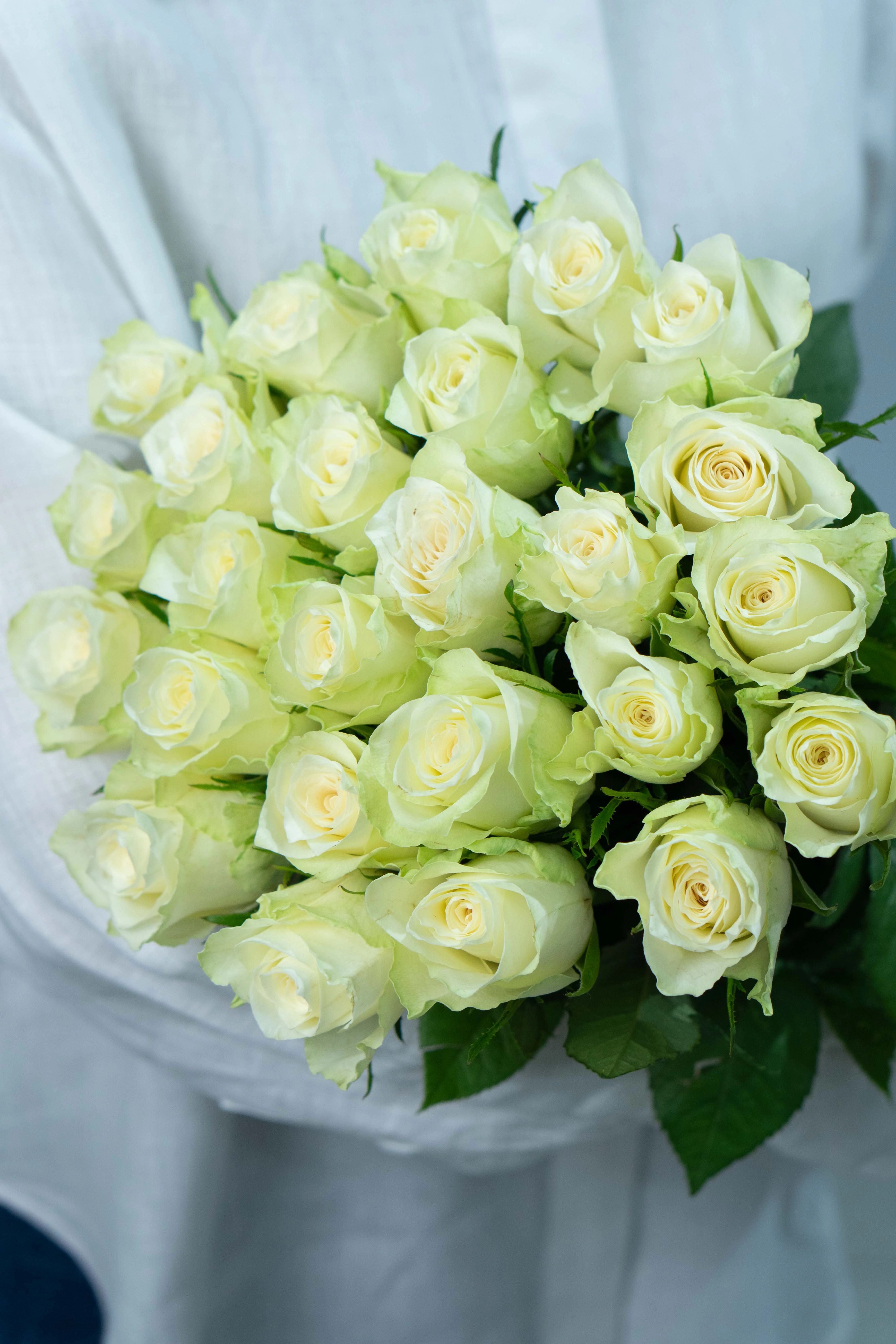 Картинка Букет из 25 белых роз Кения 40 см Картинка Букет из 25 белых роз Кения 40 см