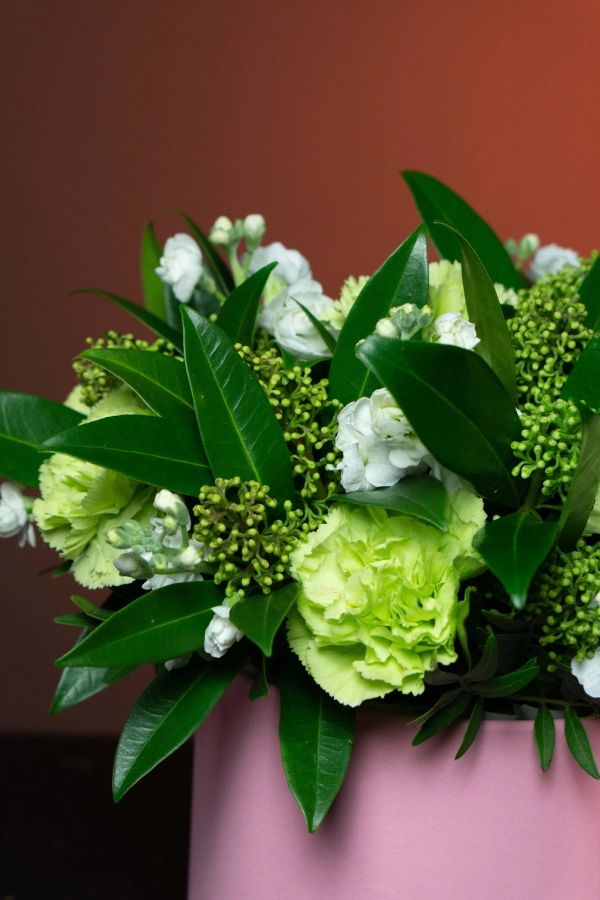 Картинка Композиция "Зеленый шелест" Картинка Композиция "Зеленый шелест"