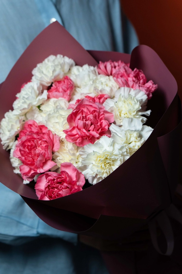 Картинка Букет из 25 гвоздик "Венера" Картинка Букет из 25 гвоздик "Венера"