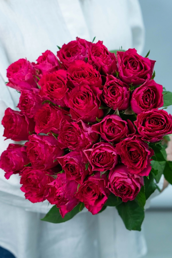 Картинка Букет из 25 малиновых роз Кения 40 см Картинка Букет из 25 малиновых роз Кения 40 см
