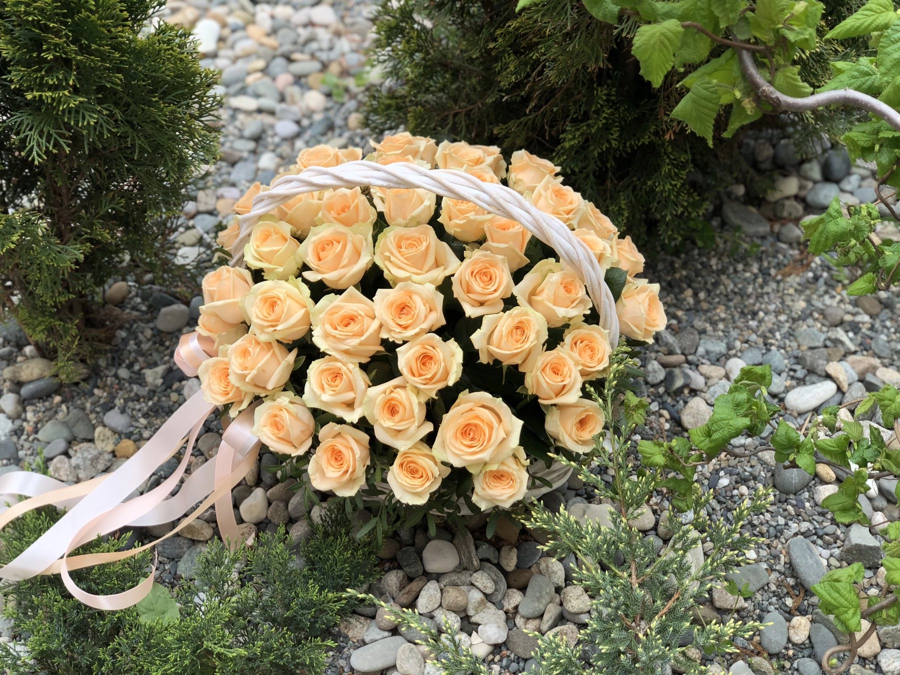 Картинка Корзина из 51 персиковой розы