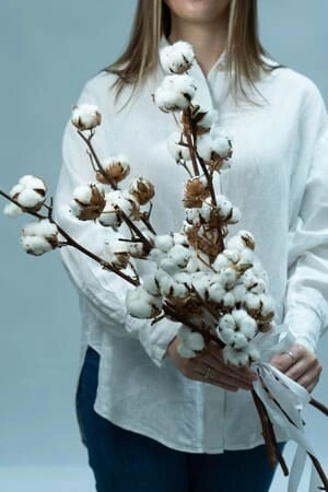 Картинка Букет из 5 веток хлопка "Натура" Картинка Букет из 5 веток хлопка "Натура"