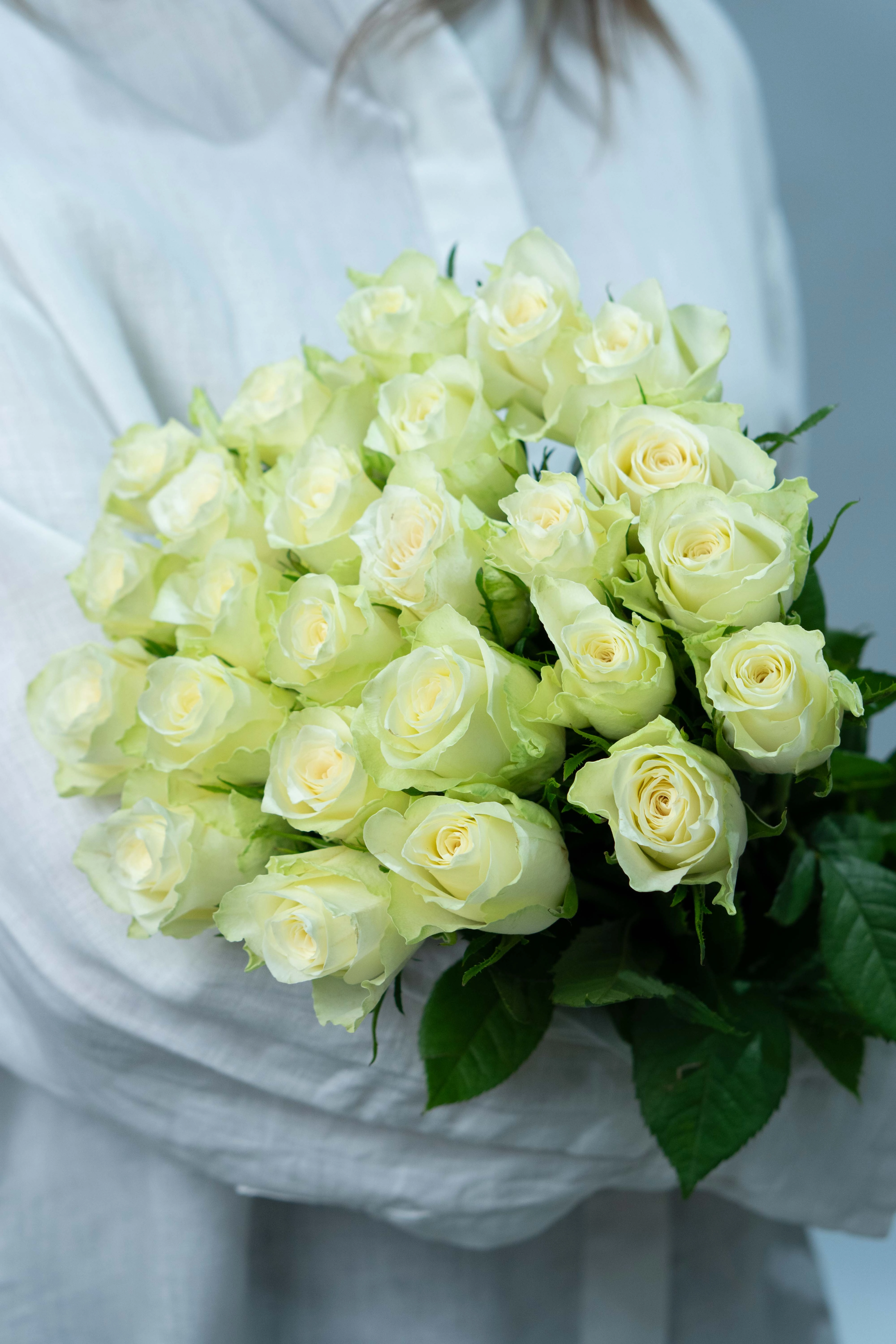 Картинка Букет из 25 белых роз Кения 40 см Картинка Букет из 25 белых роз Кения 40 см