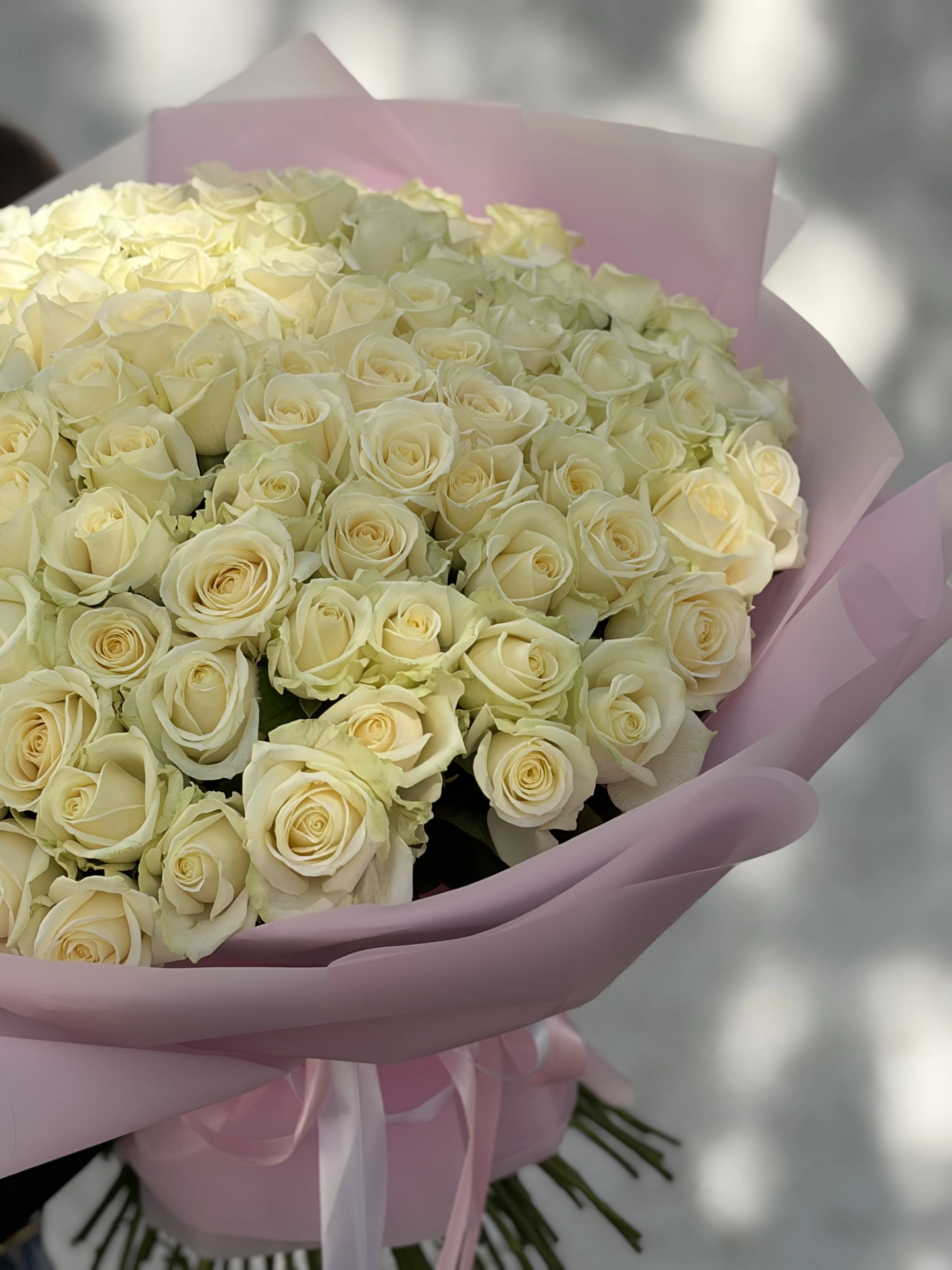Картинка Букет из 75 роз "Белая ночь" 60см