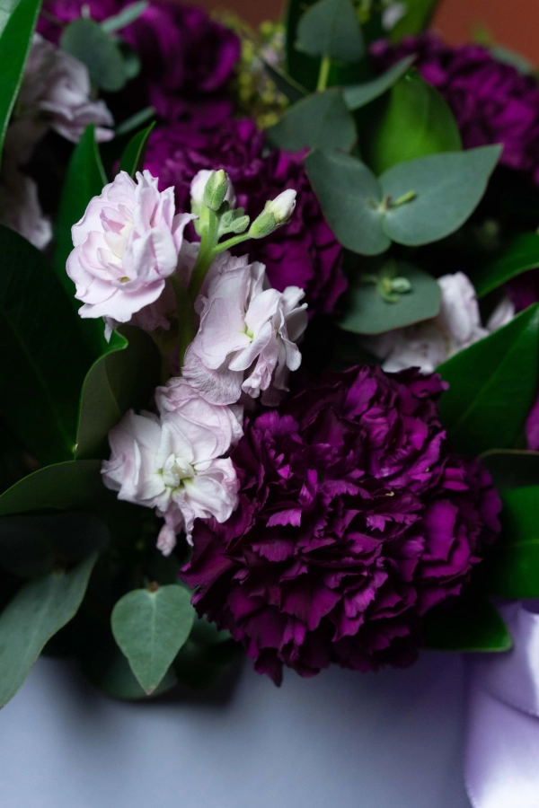 Картинка Композиция "Лунная Соната"