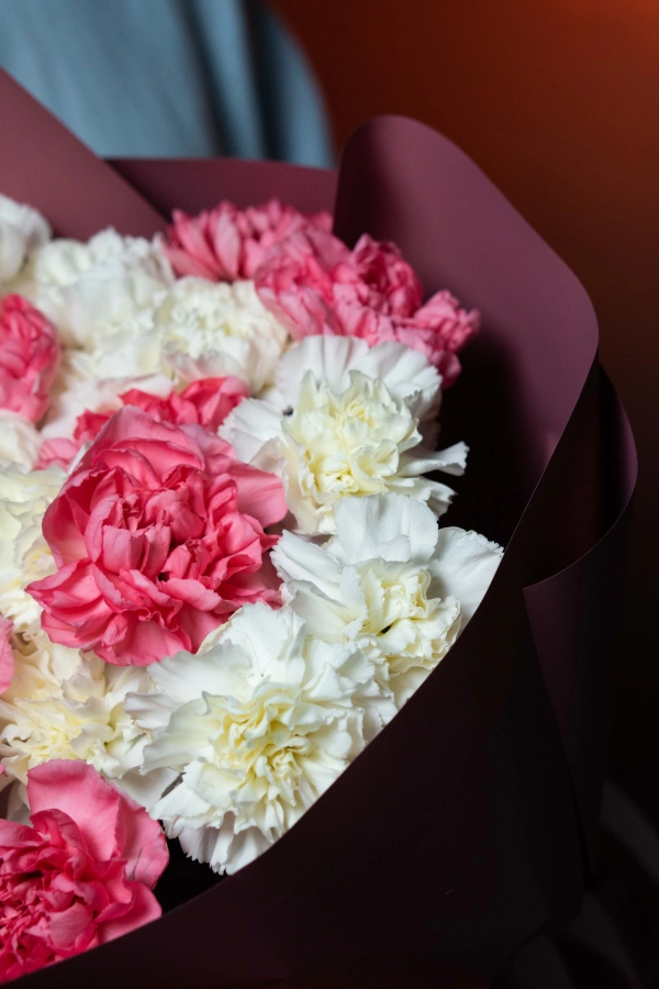 Картинка Букет из 25 гвоздик "Венера" Картинка Букет из 25 гвоздик "Венера"