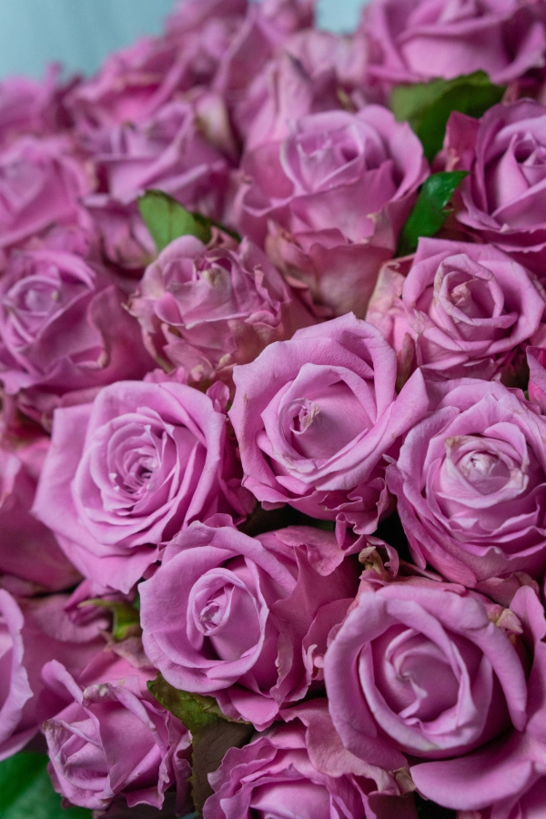 Картинка Букет из 31 розы "Эридан" 40 см Картинка Букет из 31 розы "Эридан" 40 см