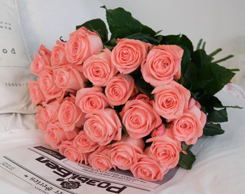 Картинка Букет из 25 роз "Лизбет" 50см