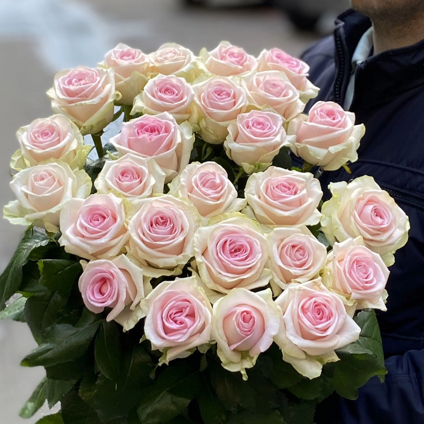 Картинка Роза Свит Ревивал