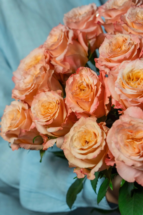 Картинка Букет из 21 розы сорта Шиммер 60 см