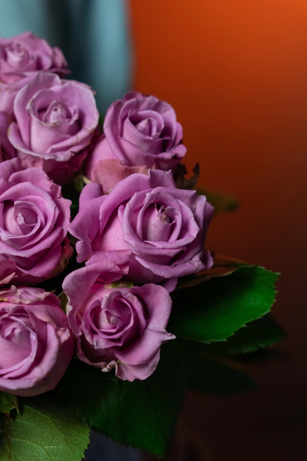 Картинка Букет "Прага" из 23 роз сорта Маритим 40 см