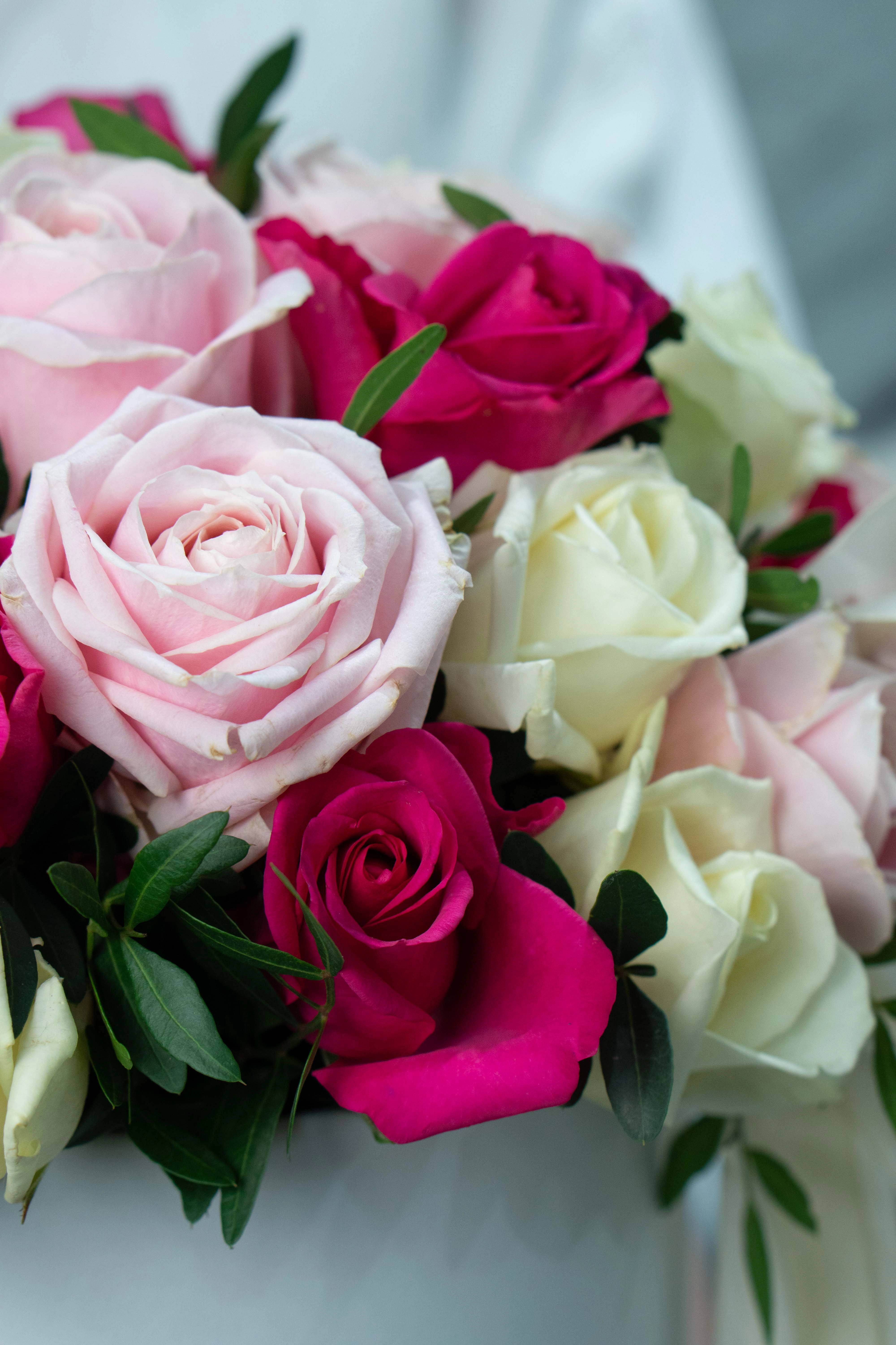 Картинка Коробка из 27 роз "Анна"