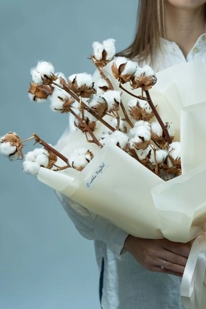 Картинка Букет из 5 веток хлопка Картинка Букет из 5 веток хлопка