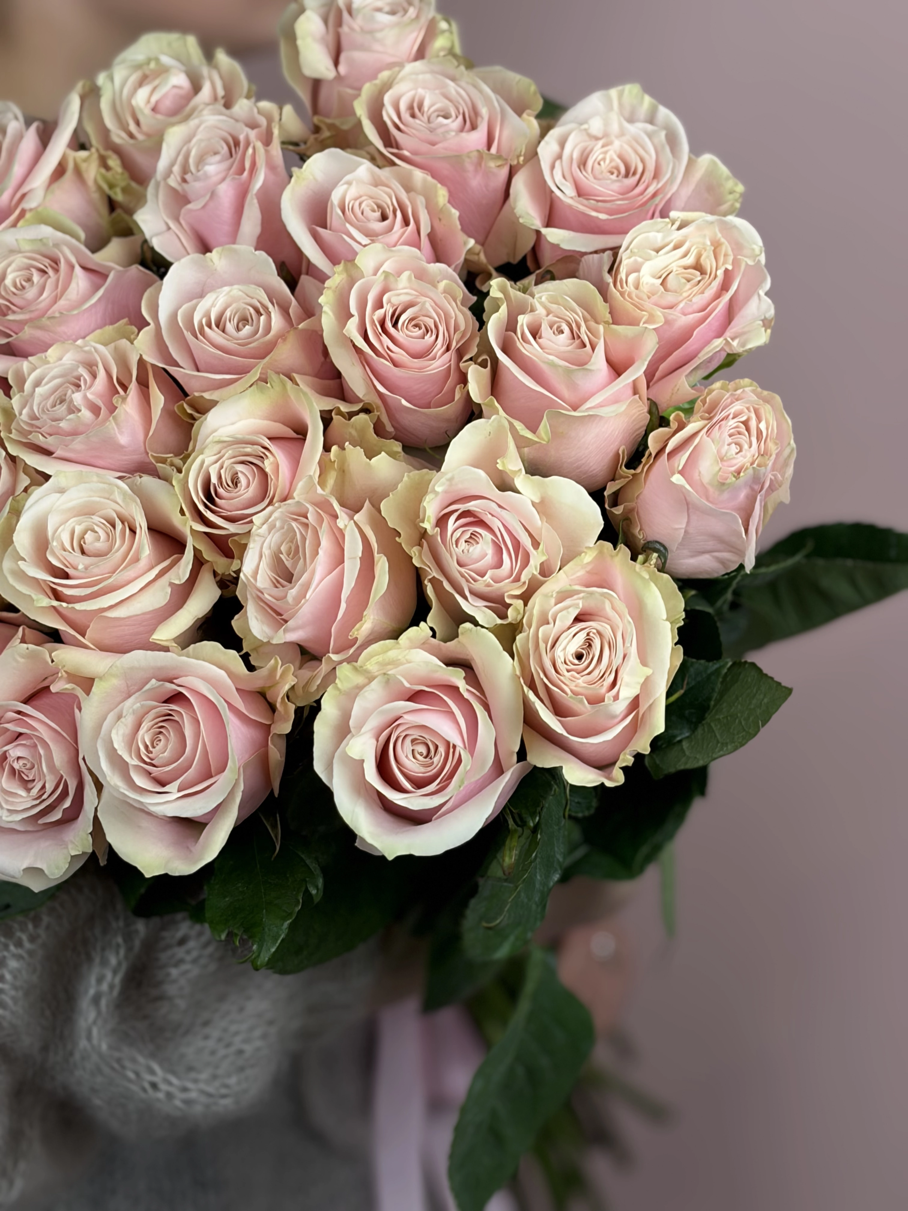 Картинка Букет из 25 роз Пинк Мондиаль 50см