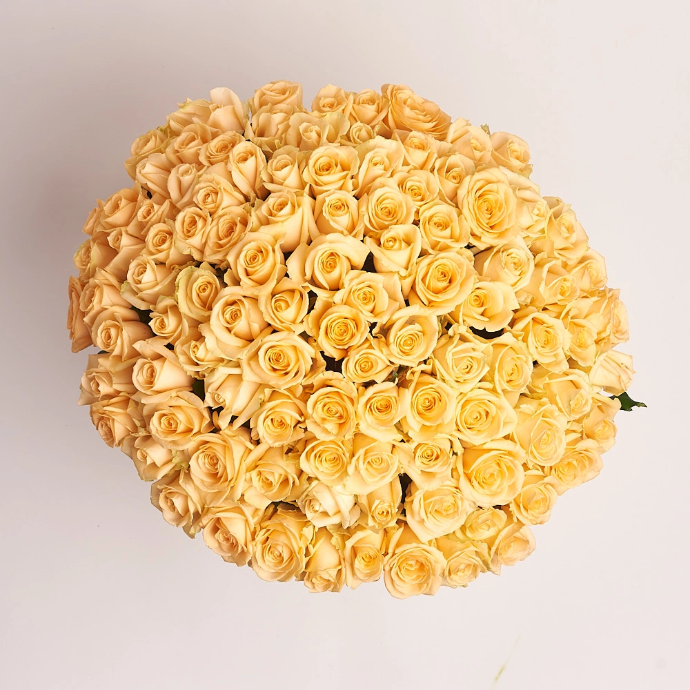 Картинка Букет из 101 розы сорта  Пич Аваланж 60 см