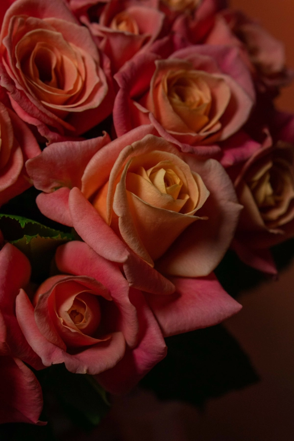 Картинка Букет из 45 роз Мисс Пигги 50 см