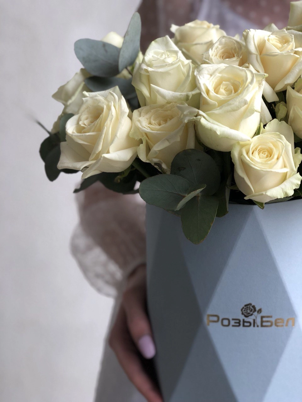 Картинка Коробка "Нептун"