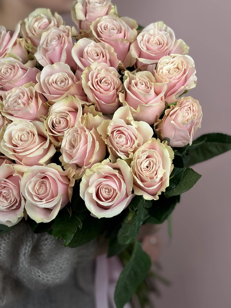 Картинка Букет из 25 роз Пинк Мондиаль 50см