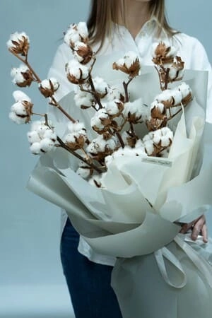 Картинка Букет из 7 веток хлопка Картинка Букет из 7 веток хлопка