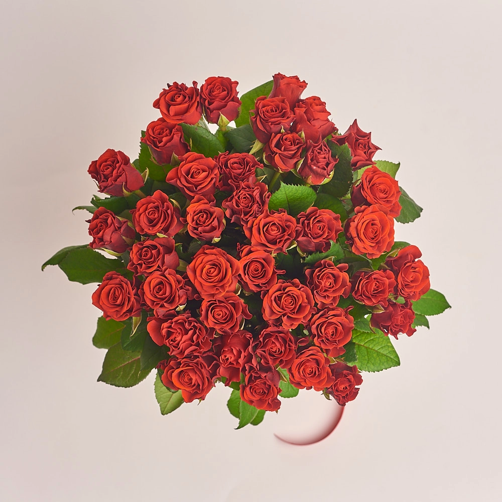 Картинка Букет из 39 роз "Эль Торо"60 см